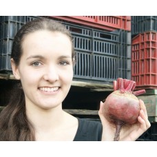 SPRAY FREE BEETROOT Medium Size Red Each  Katikati Grown